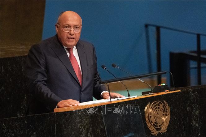 Египет и ООН обсудили политические решения для урегулирования ситуации в Сирии