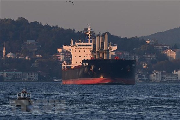 Власти Украины заявили о намерении возобновить транзит зерна через Польшу