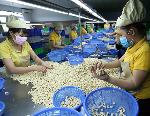 Предупреждение о мошенничестве при экспорте сельской продукции в Алжир