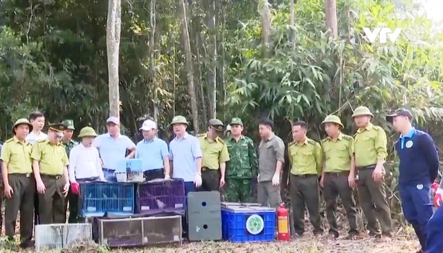 В дикую природу возвращено большое количество животных