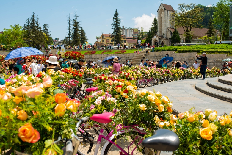 Фестиваль роз в Сапе посетили более 30 тыс человек