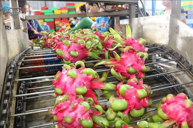 Экспорт сельскохозяйственной, лесной и рыбной продукции за четыре месяца достиг 15,66 млрд долл США
