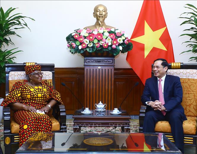 ВТО впечатлена достижениями Вьетнама в области социально-экономического развития