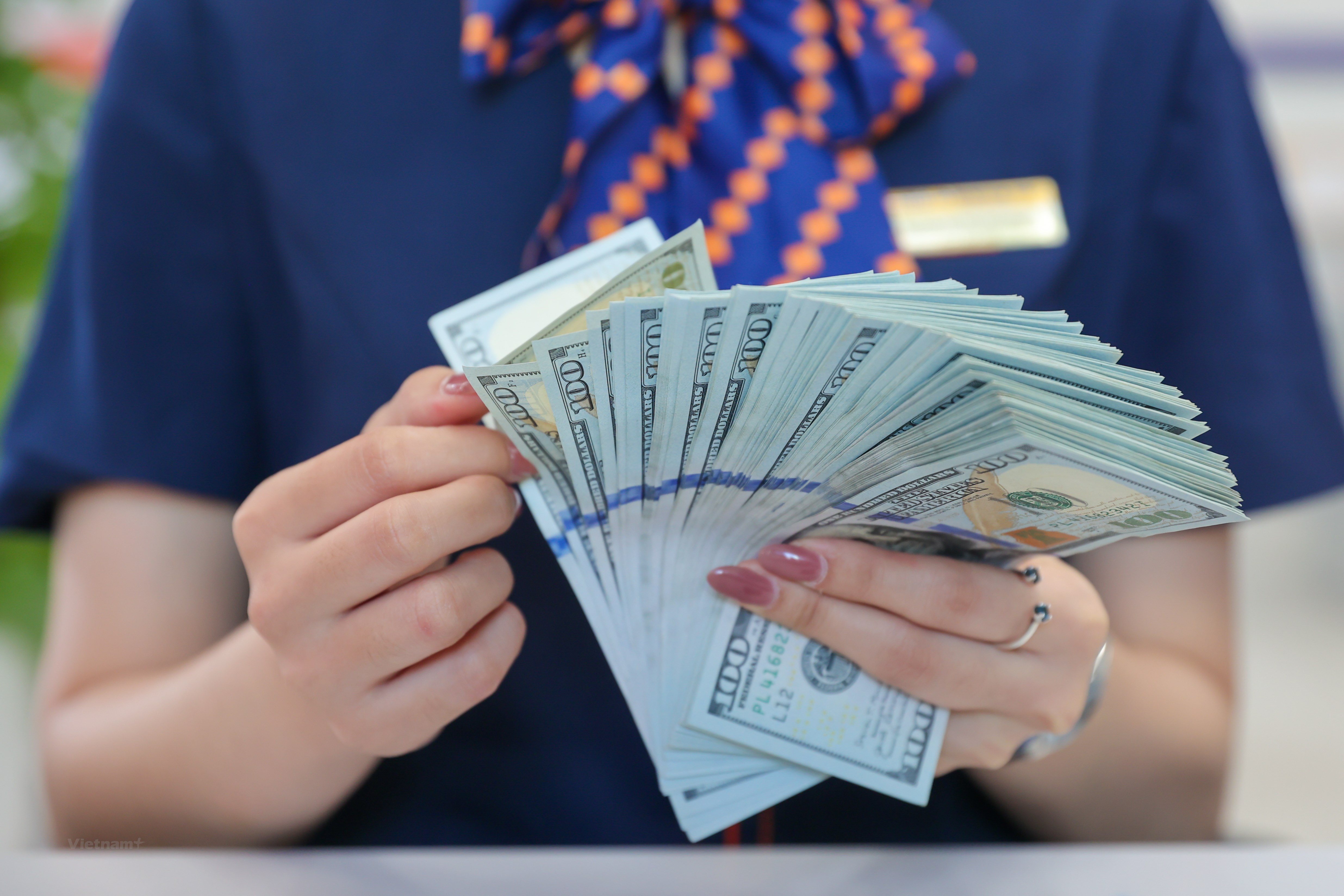 Госбанк Вьетнама снизил цену на доллар