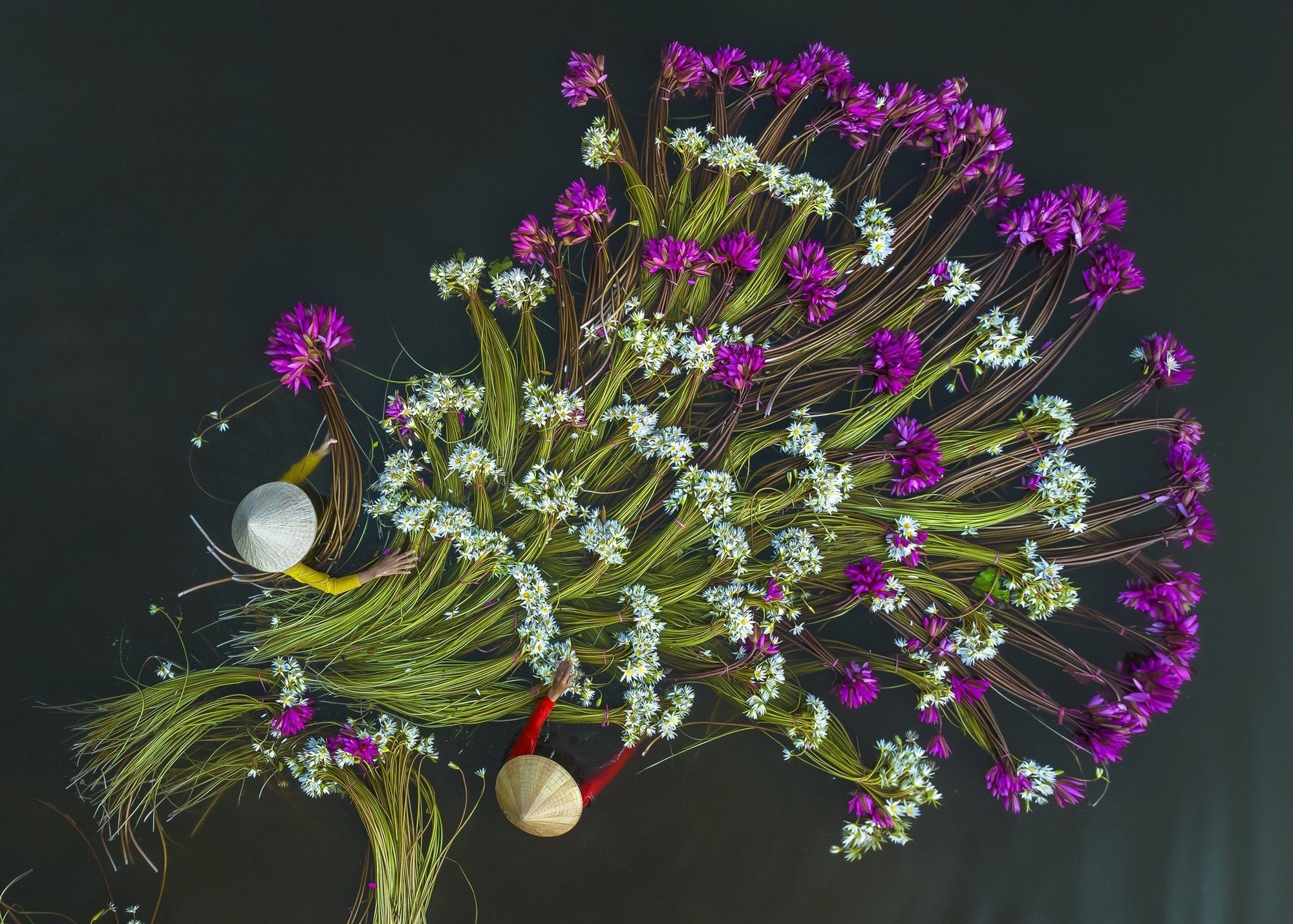 Женщина - фотограф, желающая показать миру Вьетнам
