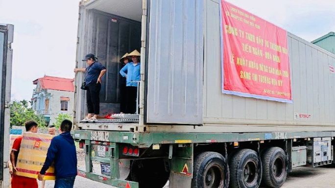Провинция Хоабинь продолжает экспортировать 18 тонн свежего сахарного тростника в США
