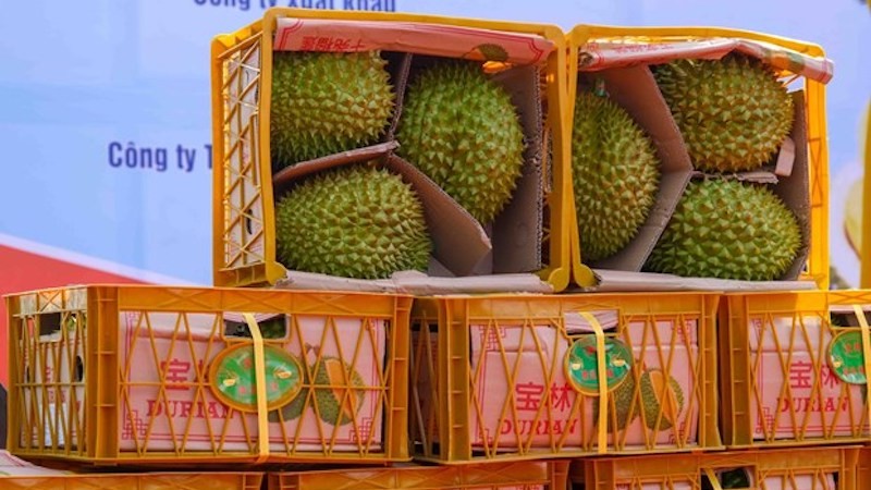 Повышение эффективности экспорта сельскохозяйственной продукции в Китай