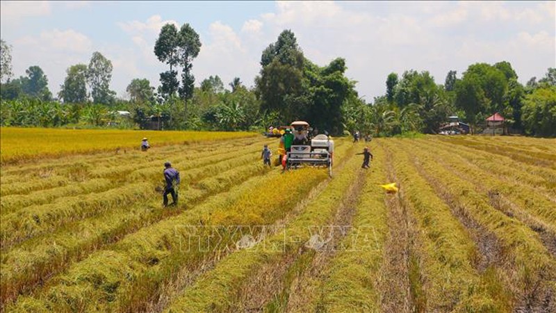 Развитие сельского хозяйства и деревни в устойчивом направлении