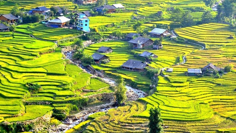 Индийская газета восхваляет террасные поля в Шапе