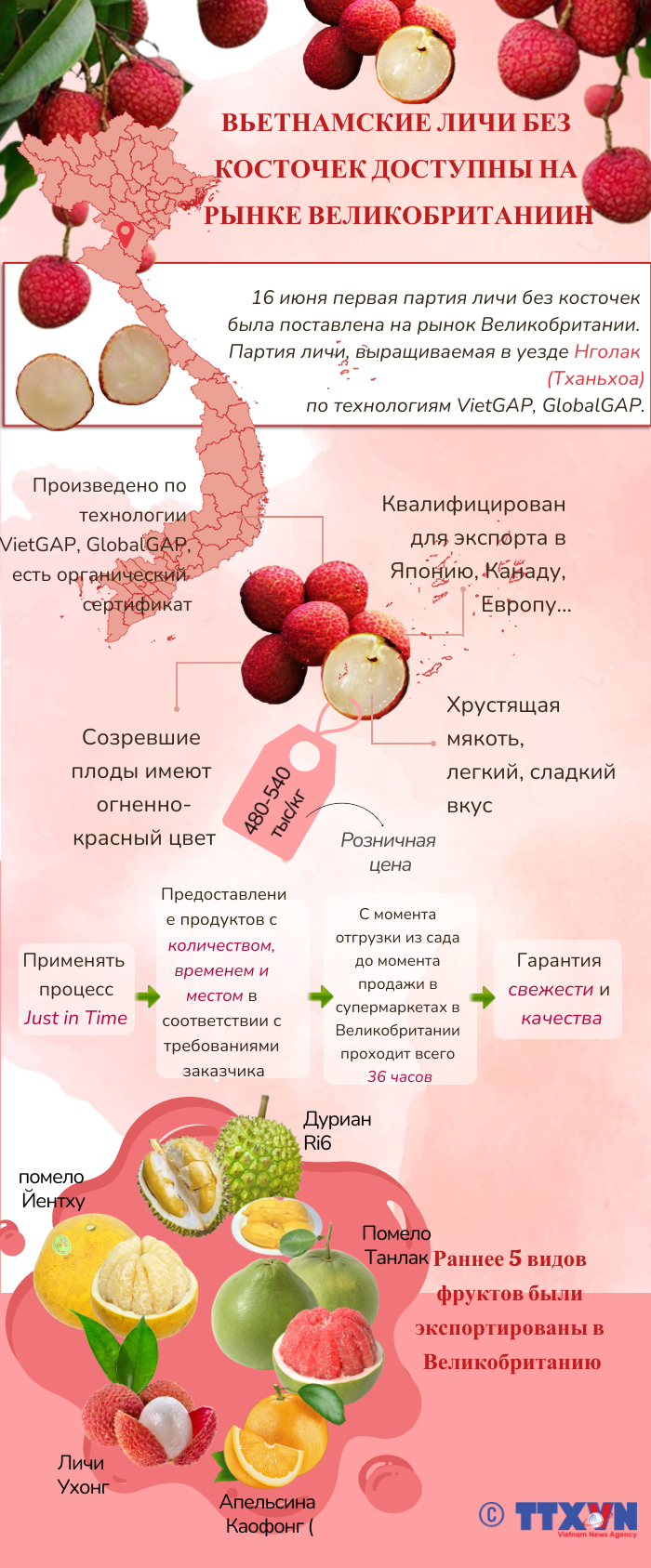 5 видов фруктов были экспортированы в Великобританию