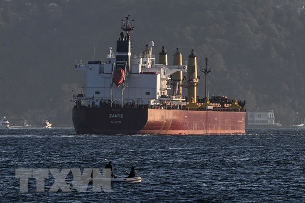 Россия заявила об отсутствии предпосылки для продления черноморской зерновой инициативы