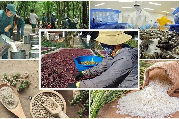 Экспорт продукции сельского, лесного и рыбного хозяйства вырастет с 4-го квартала 2023 года