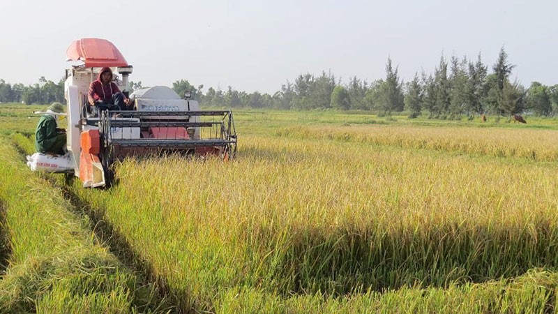 «Стартовая площадка» для сельхозяйственной продукции
