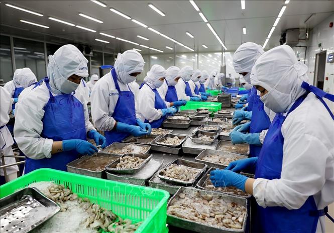 Экспортеры рыбных продуктов надеются на восстановление в оставшиеся месяцы