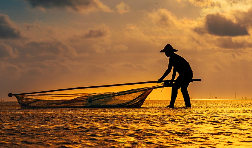 Красота труда на «бесконечном» пляже в провинции Тхайбинь
