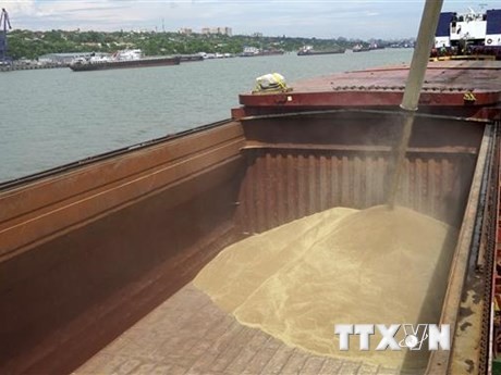 Россия заявил о допущении любых вариантов соглашений по продовольствию, после того как будут выполнены требования Москвы