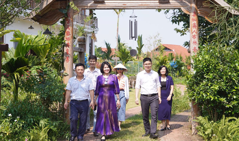 Объекты размещения в Ханое продвижение рекламы, улучшение качества