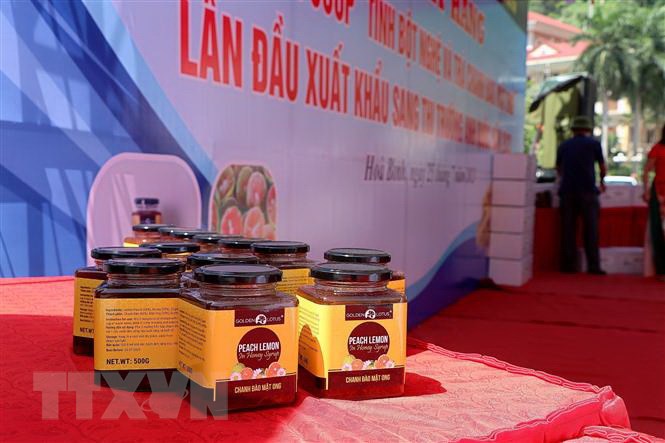 Экспорт крахмала куркумы и персикового чая с медом и лимоном провинции Хоабинь в Великобританию