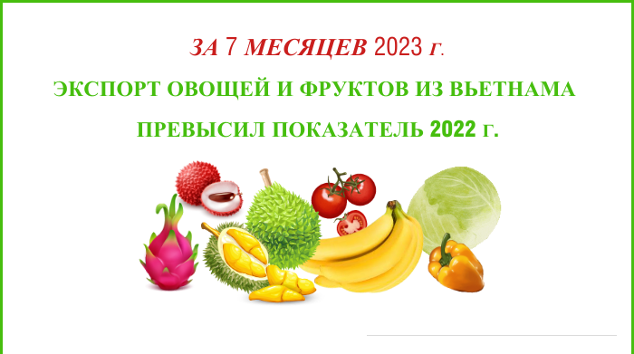 Экспорт овощей и фруктов из Вьетнама за 7 месяцев превысил показатель 2022 года