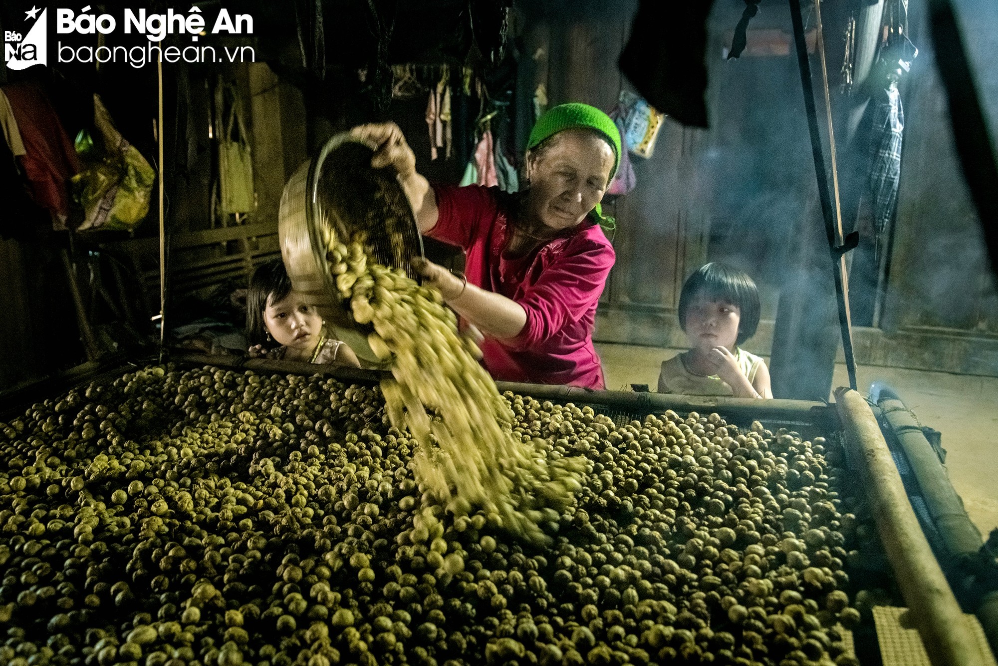 Горная община Кишон в сезон сбора урожая фруктов «бобо»