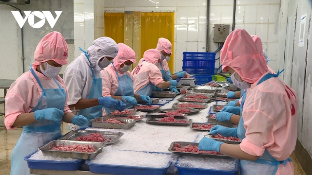 Япония стала крупнейшим импортером вьетнамских морепродуктов во втором квартале 2023 года