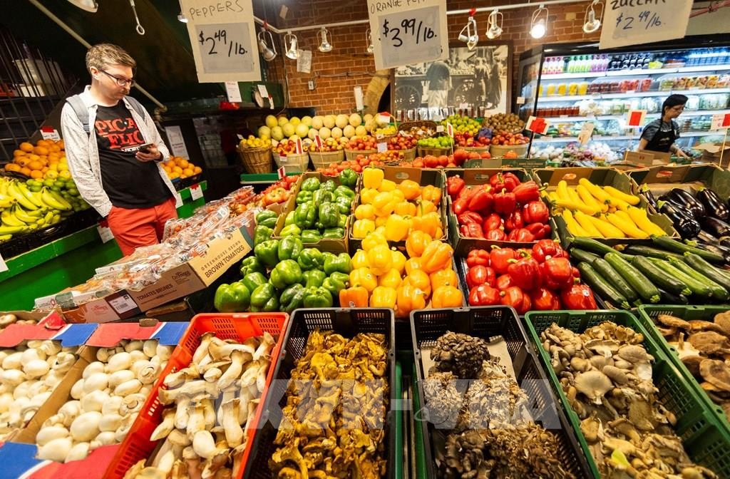 Канадский лобстер и морское ушко – потенциальные импортные продукты во Вьетнаме