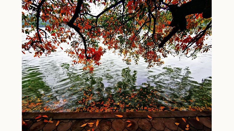 Ханой является идеальным направлением для зимнего отдыха