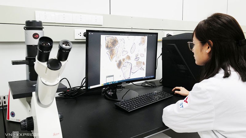 Повышение ценности лекарственных трав Вьетнама