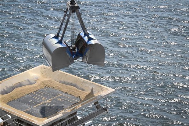 Украина экспортировала 8,1 млн тонн зерновых через румынский порт Констанца