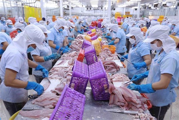 Немецкий эксперт положительно оценивает эффект EVFTA