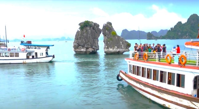 Меры по защите скал Чонг Май в бухте Халонг