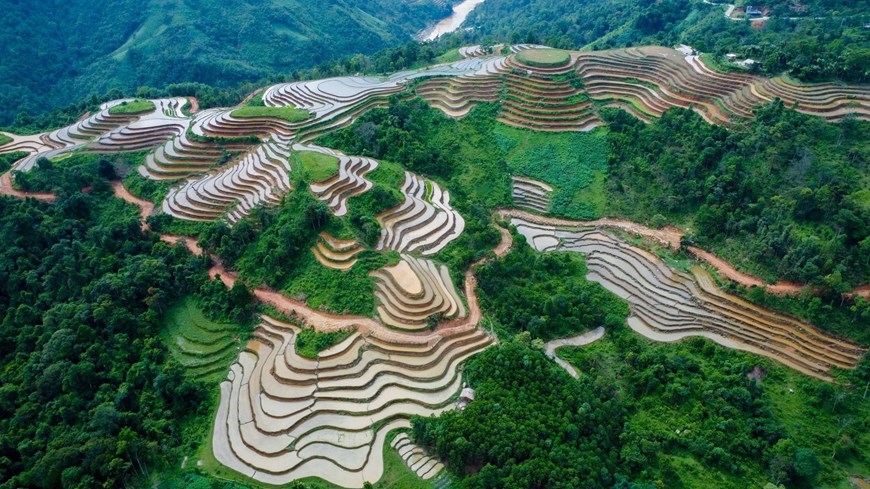 Хажанг Террасные поля в сезон полива