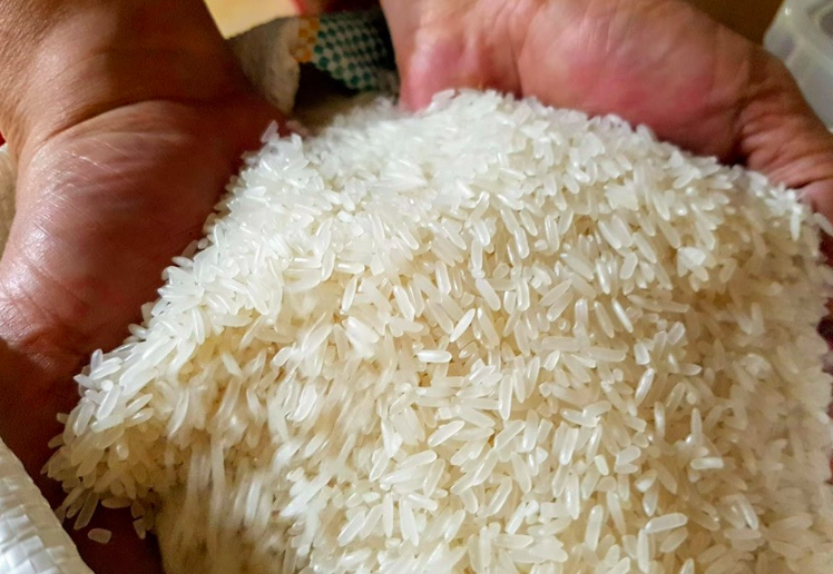 Цена на вьетнамский рис сохраняется на самой высокой отметке в мире