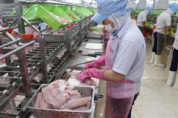 Первоначальная оценка США о безопасности пищевых продуктов вьетнамского пангасиуса