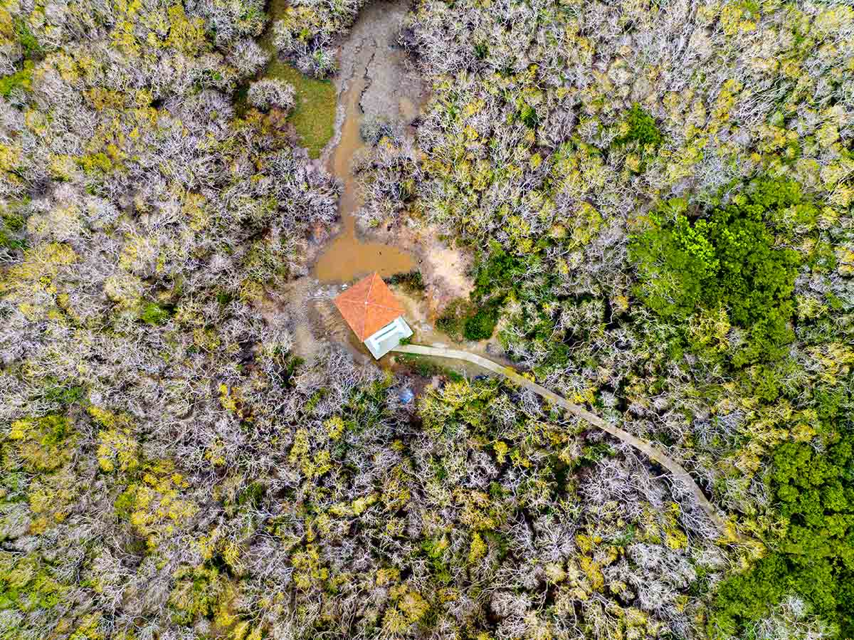 Лес Ру Ча в сезон листопада