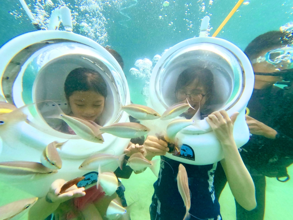 Кото реализует множество привлекательных мероприятий по стимулированию туризма