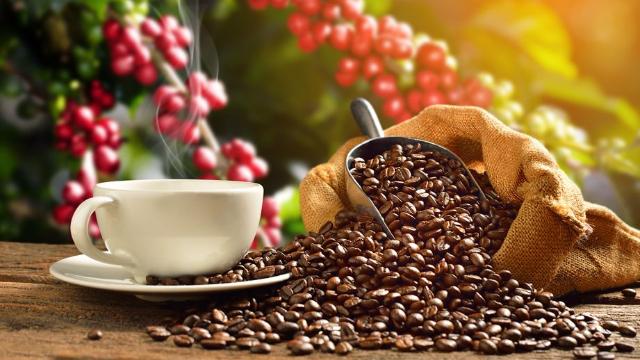 Из общего объёма поставок кофе в Россию 46 приходится на Вьетнам