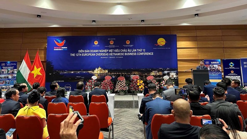 Продвижение роли вьетнамского бизнес-сообщества в Европе
