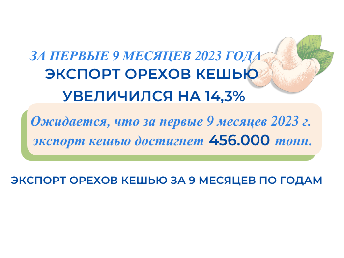 За первые 9 месяцев 2023 года экспорт орехов кешью увеличился на 14,3