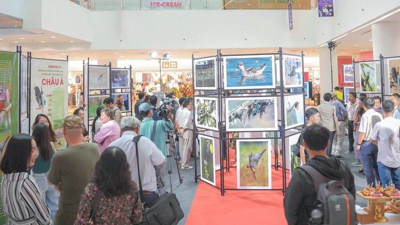 В г Хошимине проходит фотовыставка «Дикие птицы Вьетнама»