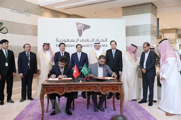 Сотрудничество между Вьетнамом и Саудовской Аравией в сфере туризма