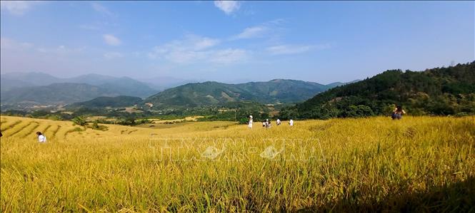 Открылась Недель культуры и туризма «Золотой сезон Биньльеу 2023 года»