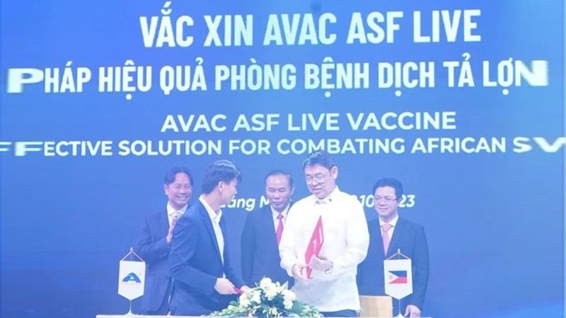 Вьетнам официально экспортирует вакцину от африканской чумы свиней