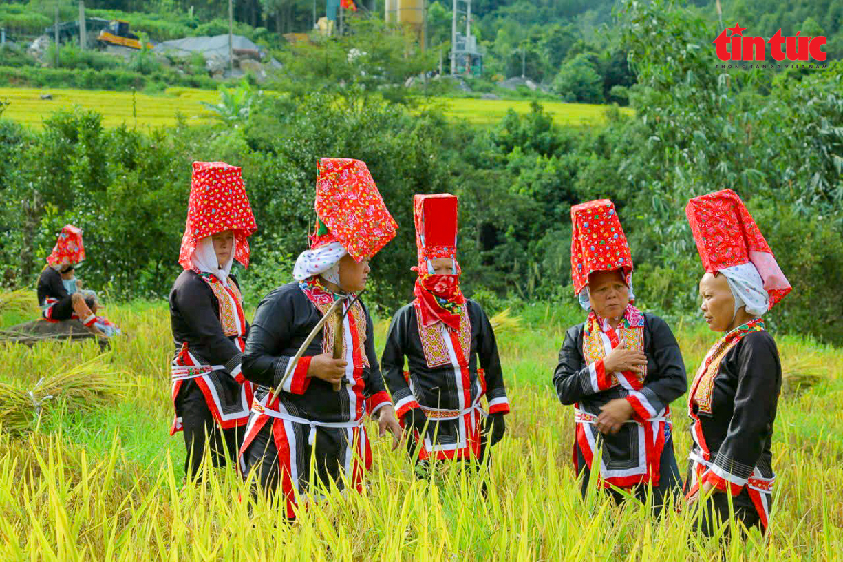 Биньлиеу покоряет туристов своей природной красотой и традиционными культурными ценностями