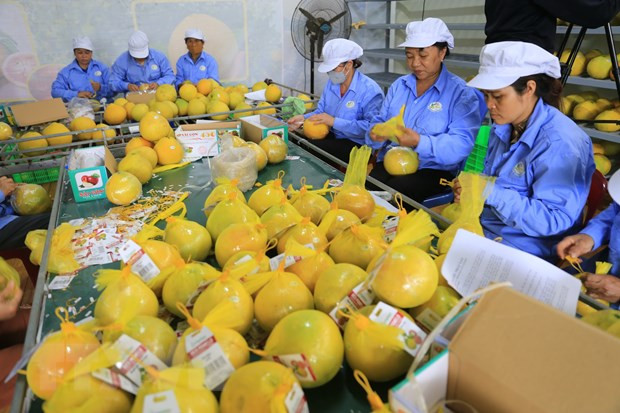 Экспорт сельскохозяйственной, лесной и рыбной продукции оценивается в более чем 43 млрд долларов США
