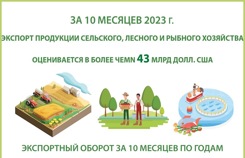 За 10 месяцев 2023 г  Экспорт продукции сельского, лесного и рыбного хозяйства оценивается в более чем 43 млрд долл США