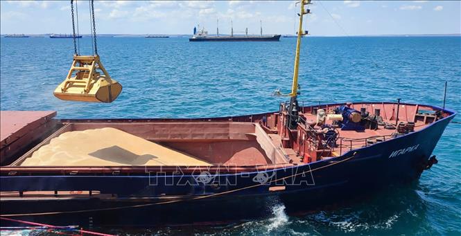 Россия начала безвозмездные поставки зерна в Африку