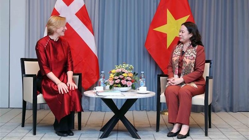 Вице-президент Во Тхи Ань Суан приняла Председателя Общества датско-вьетнамской дружбы