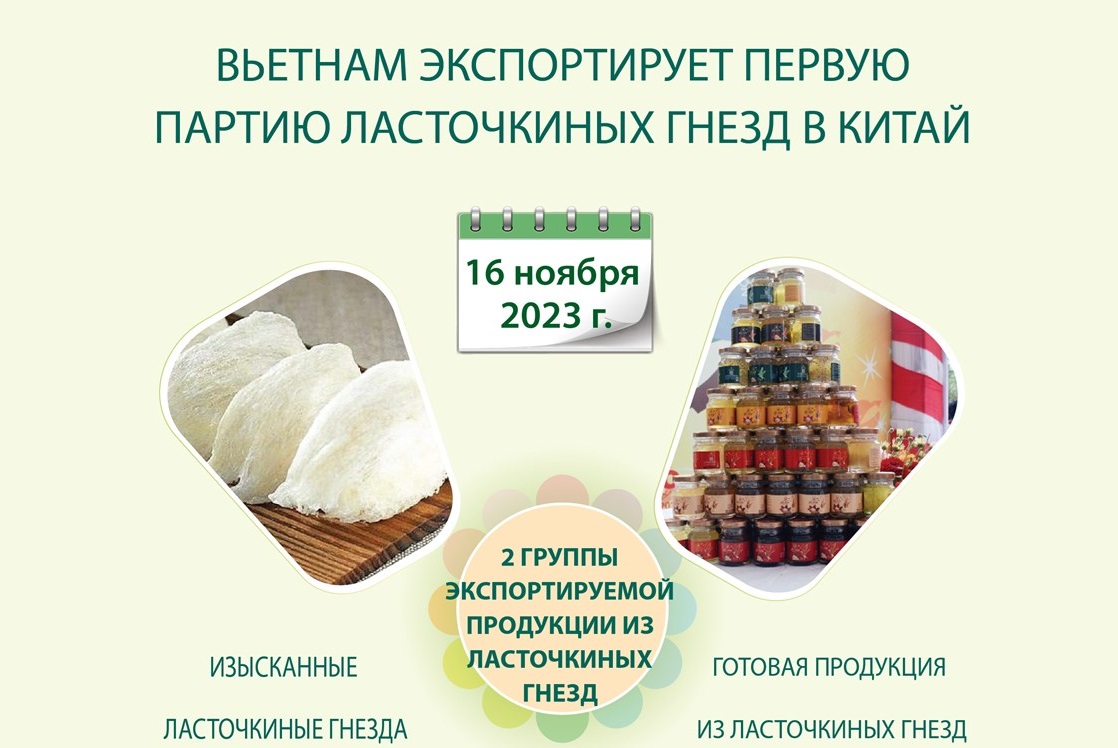 Вьетнам экспортирует первую партию ласточкиных гнезд в Китай