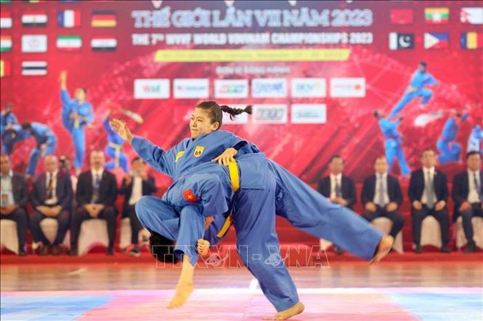 Во Вьетнаме открылся 7-й чемпионат мира по вовинаму